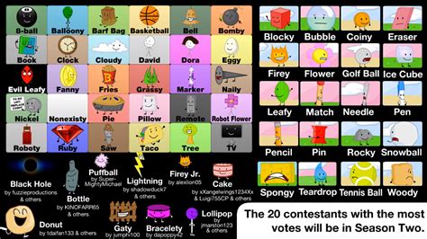 BFDI Votes .